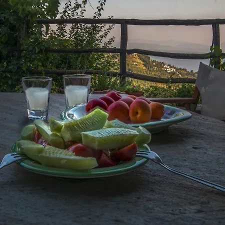 Guest house To Stefani Tis Makrinas 4*